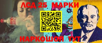 индика Сланцы