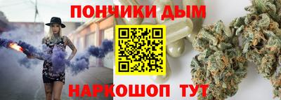 индика Сланцы