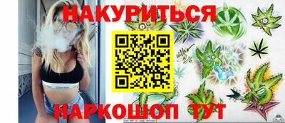 индика Сланцы