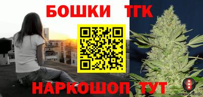 индика Сланцы