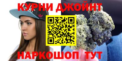 индика Сланцы