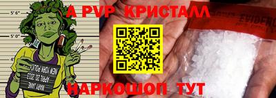 индика Сланцы