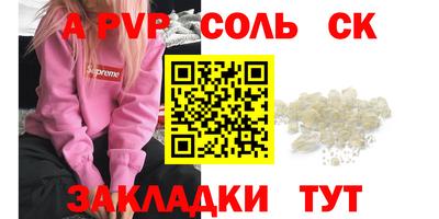 индика Сланцы